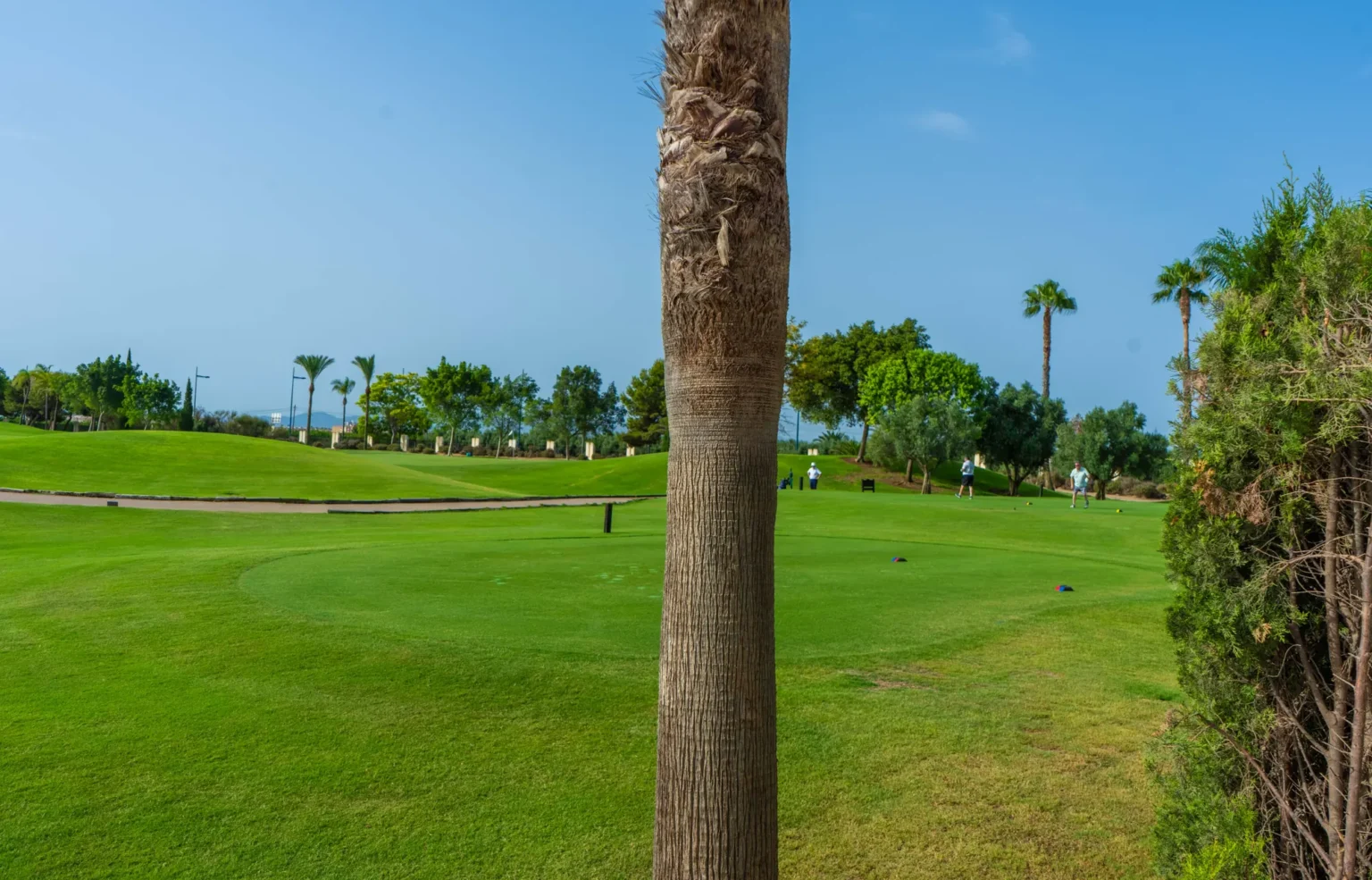 Roda Golf & Beach Resort golf course with palm trees