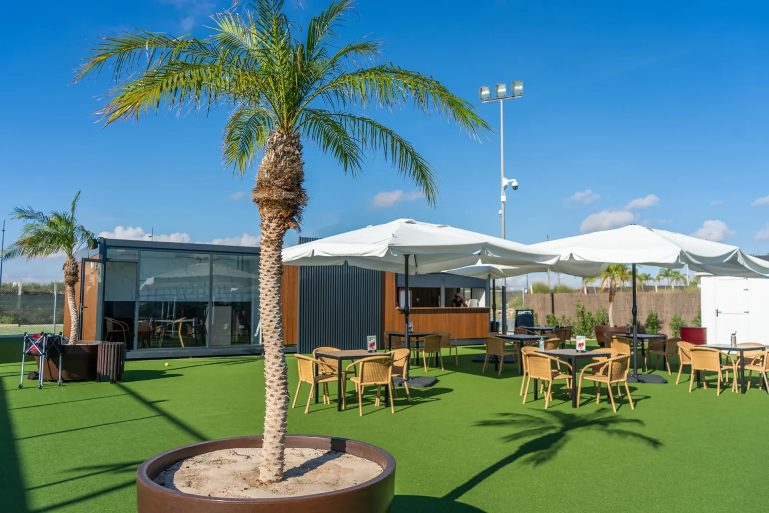 Club terrace with a palm tree and parasols