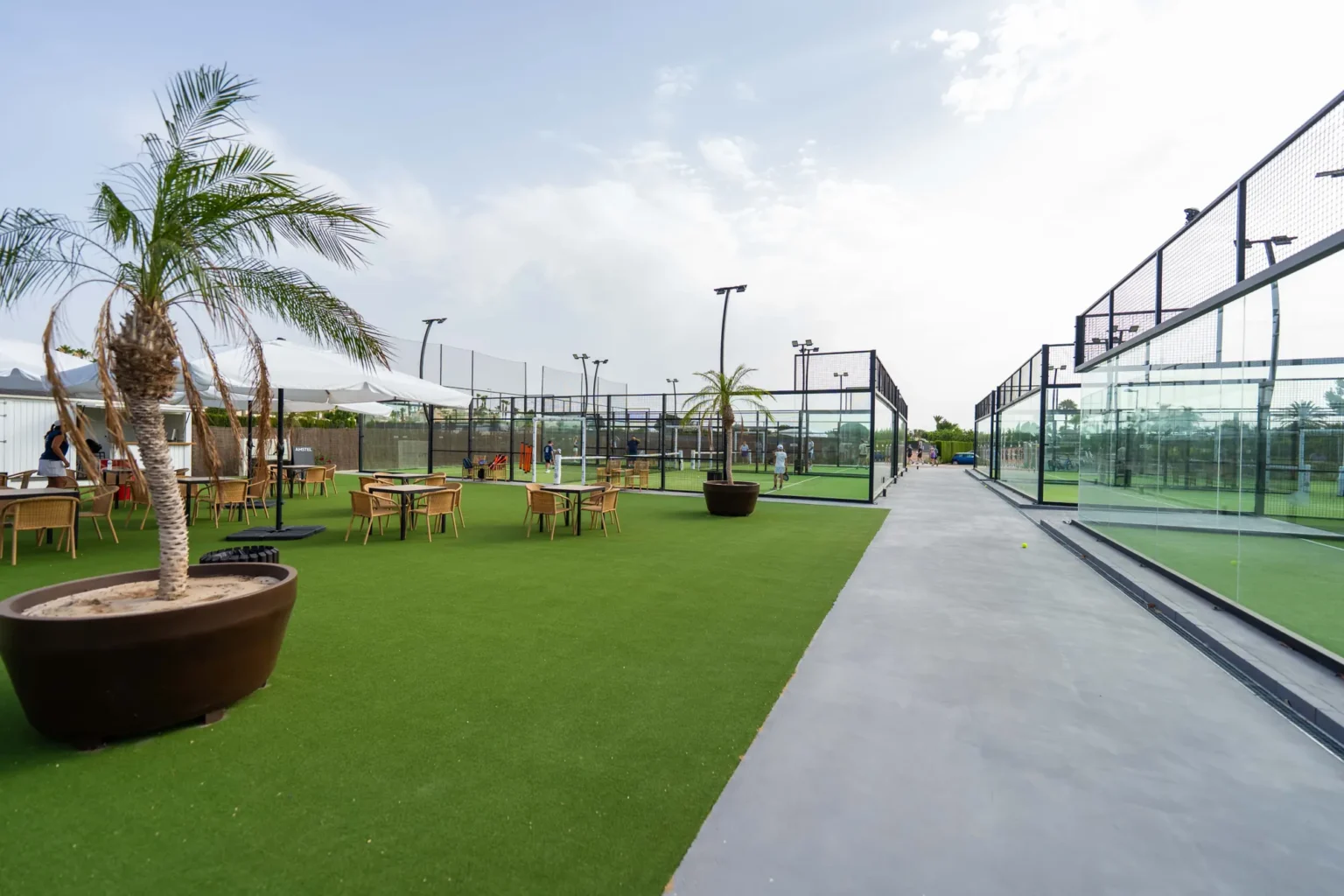 Club terrace and courts with a palm tree